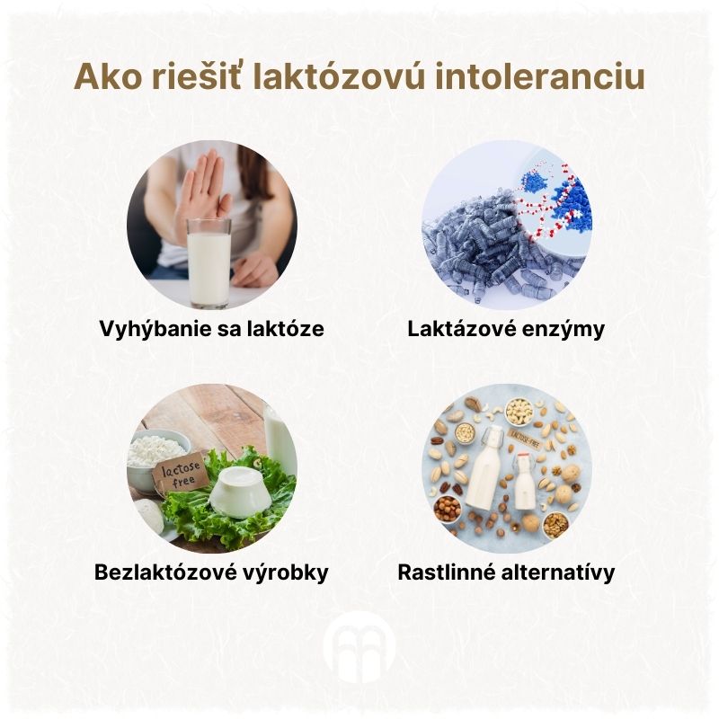 (Slovenčina) Jak řešit laktózovou intoleranci
